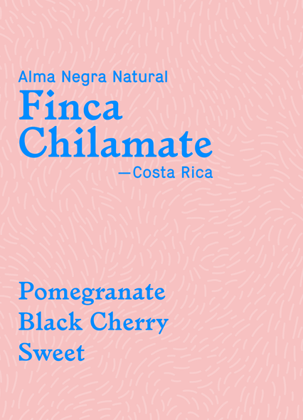 Finca Chilamate