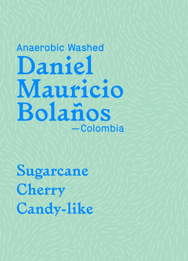 Daniel Mauricio Bolaños
