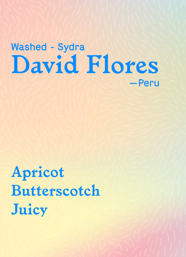 David Flores
