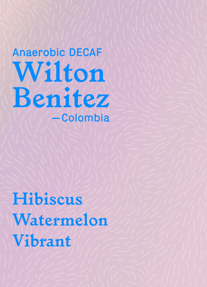 DECAF Wilton Benitez