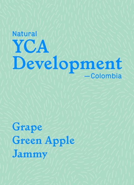 YCA Development