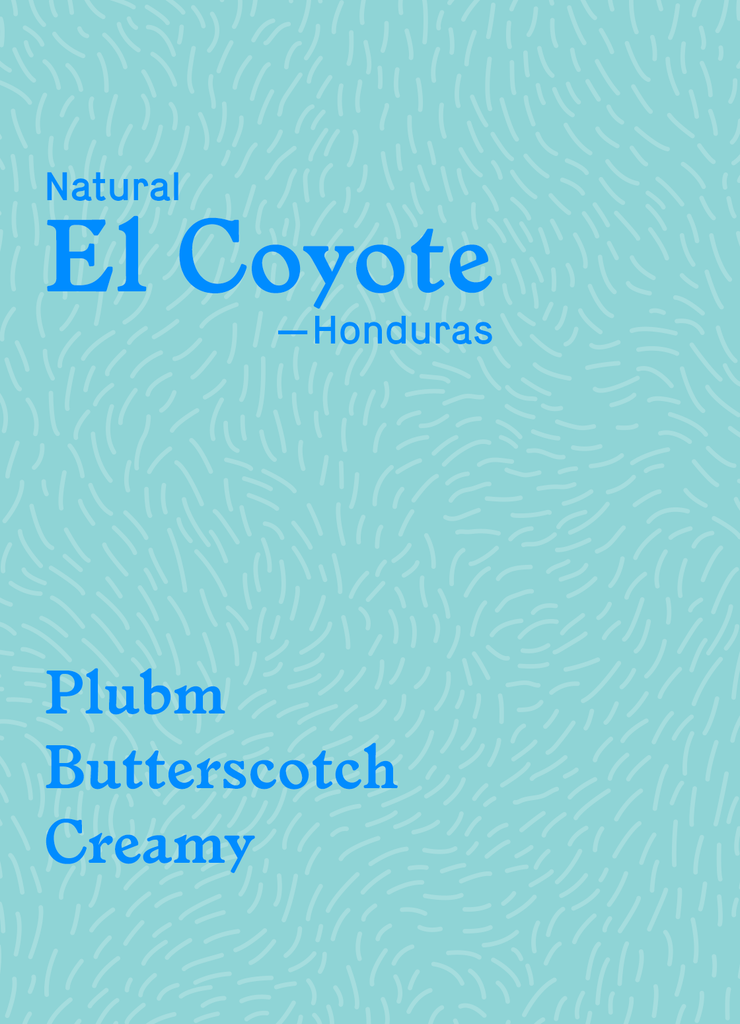 El Coyote