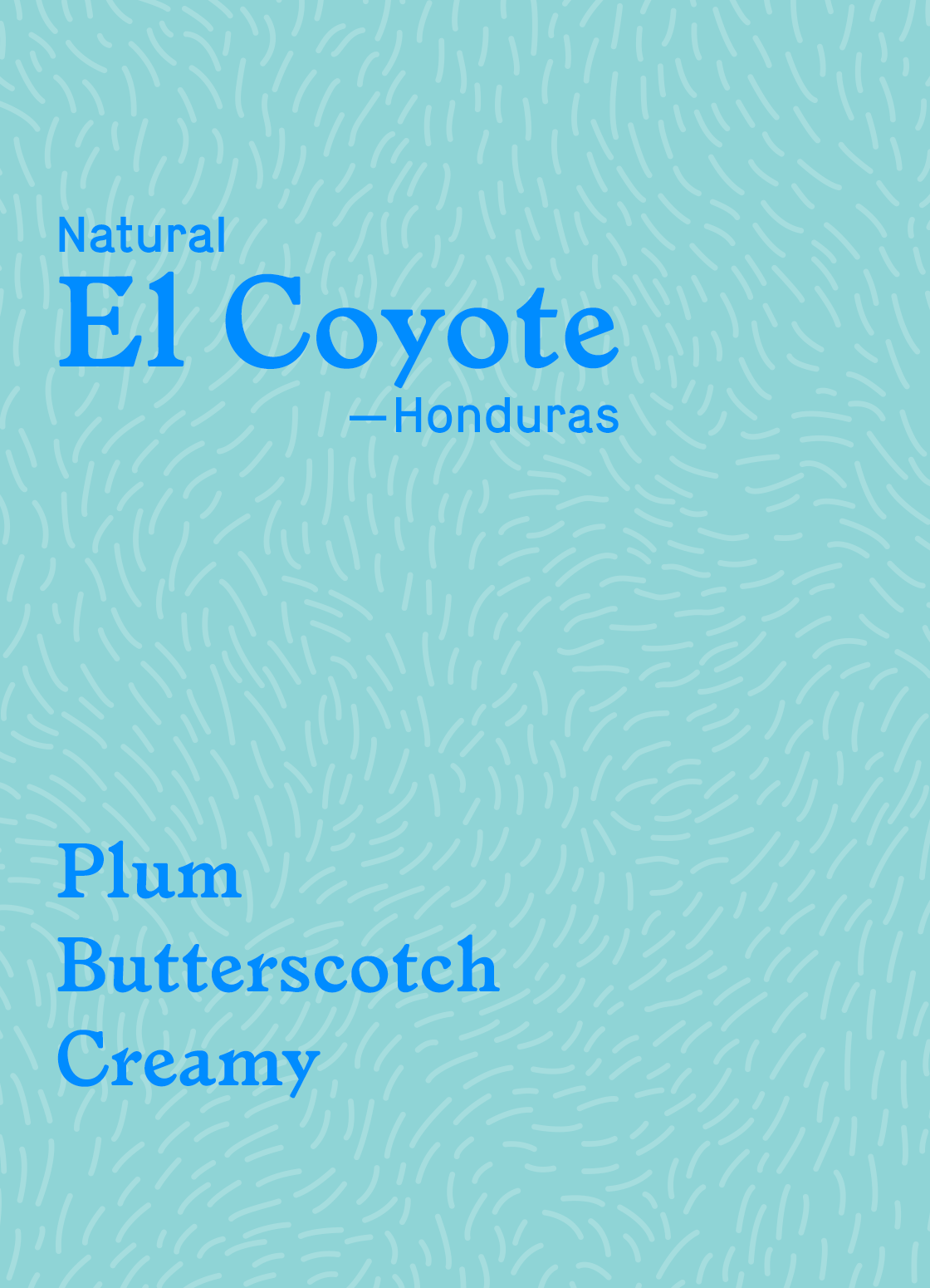 Photo of El Coyote