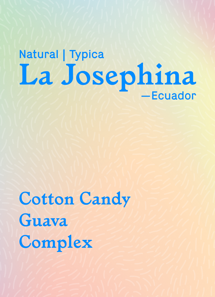 La Josefina - Typica