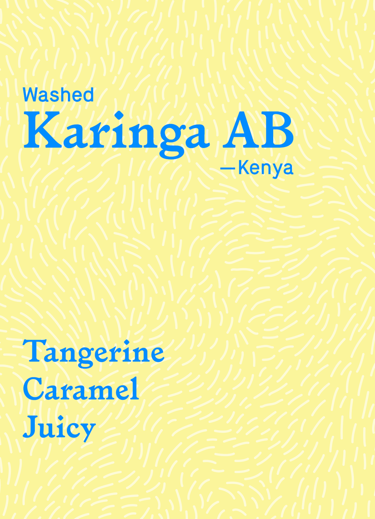 Karinga AB