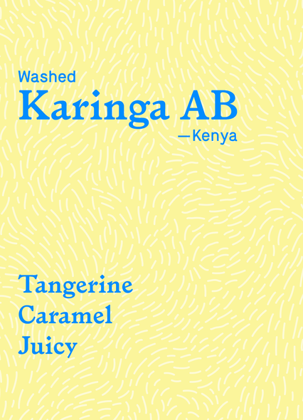 Karinga AB
