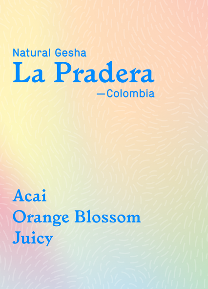 La Pradera - Gesha
