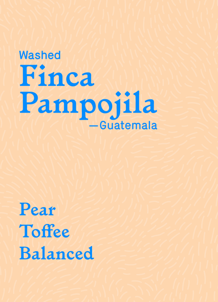 Finca Pampojila