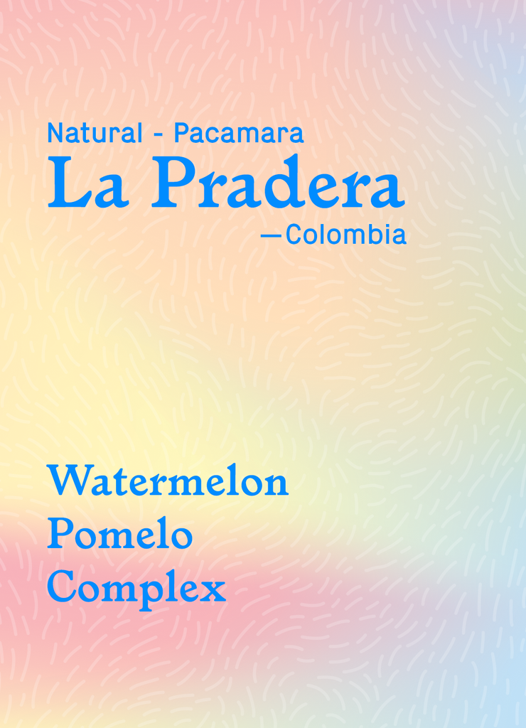 La Pradera - Pacamara