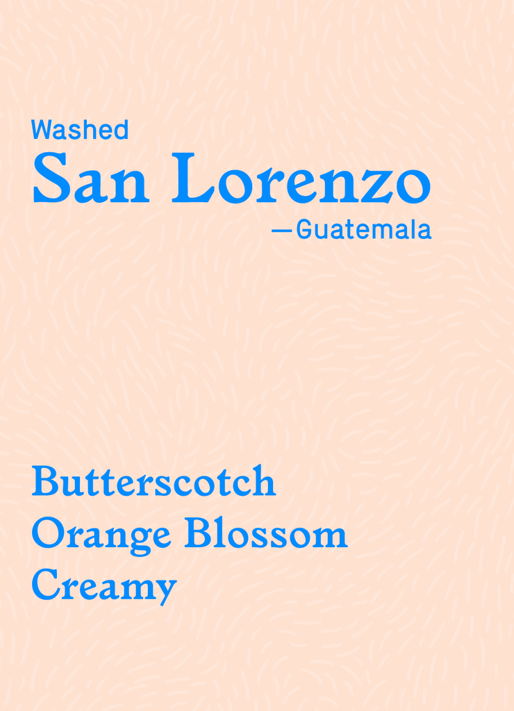 San Lorenzo