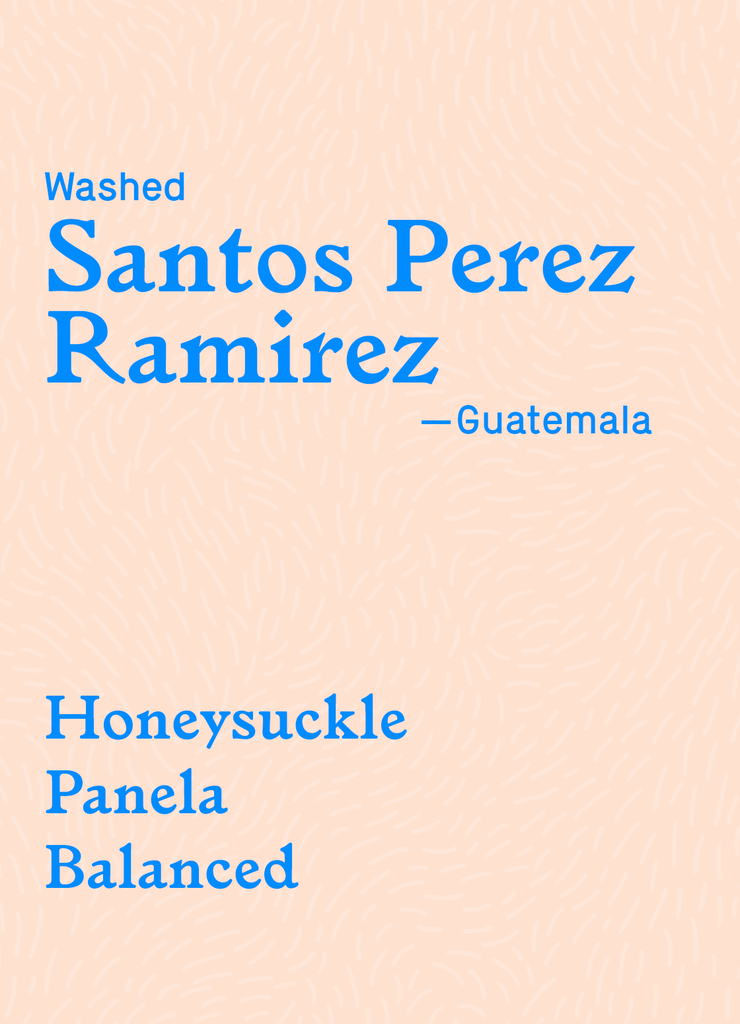 Santos Perez Ramirez