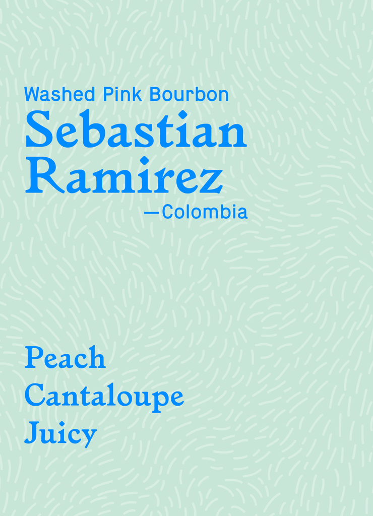 Sebastian Ramirez Pink Bourbon