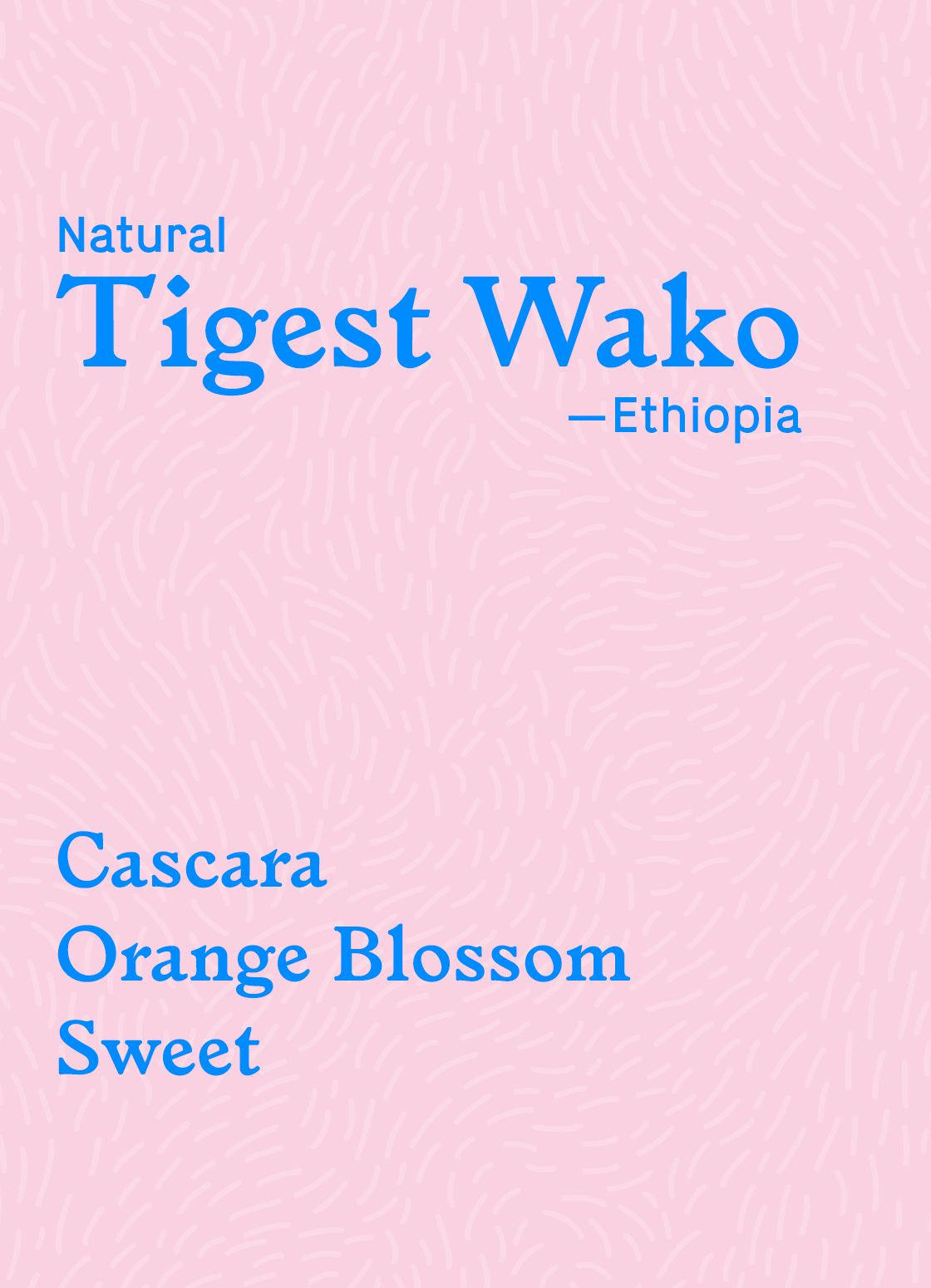 Photo of Tigest Wako