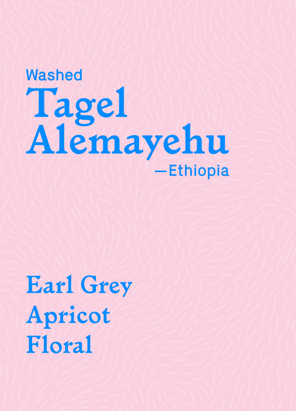 Tagel Alemayehu