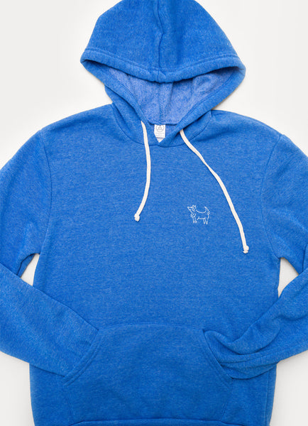 Blue discount polar hoodie